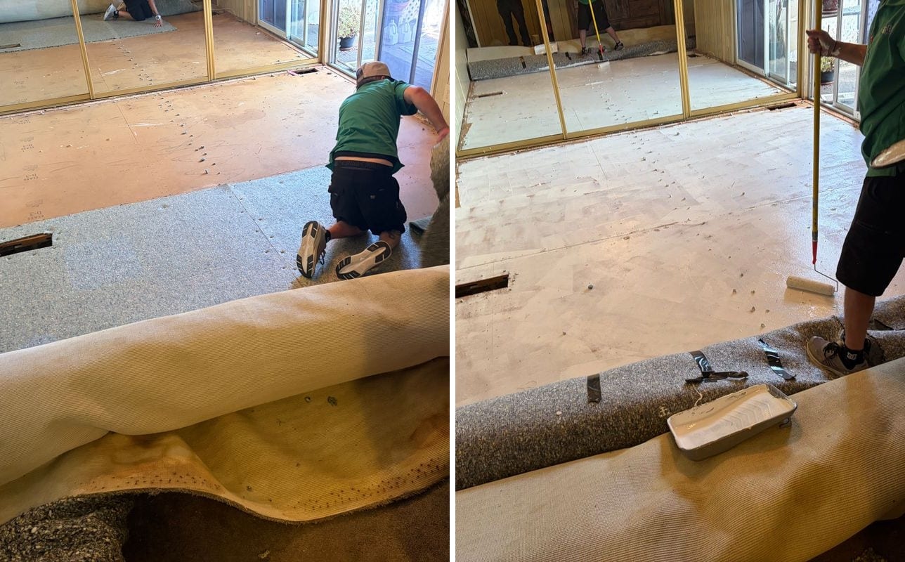 Before and after of a carpet treated for pet urine stains, with the discoloration removed